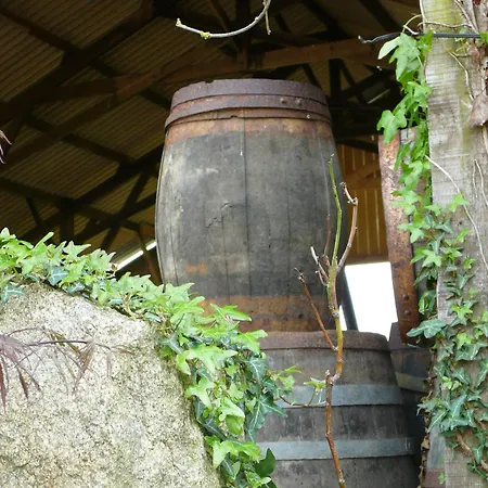 La Ferme De Kerhors Guest house Tremeoc