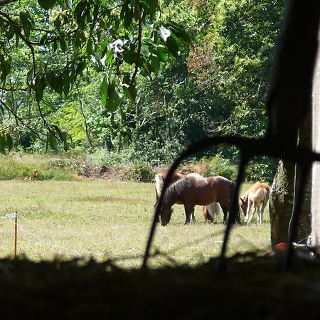 Gasthuis La Ferme De Kerhors 3*