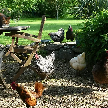 La Ferme De Kerhors 3*