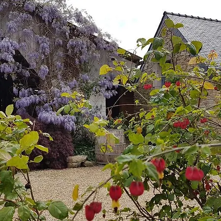 Guest house La Ferme De Kerhors Tremeoc